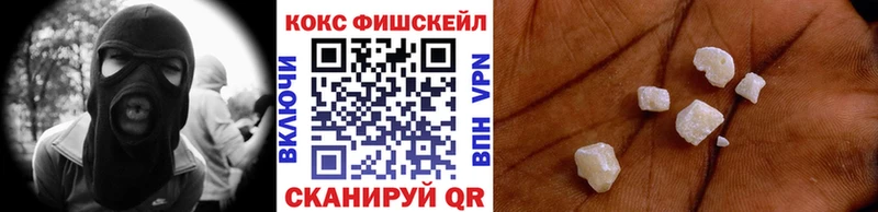 COCAIN Fish Scale  где найти наркотики  Красный Холм 