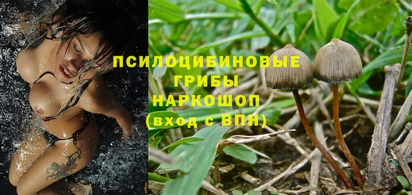 крисы Ельня