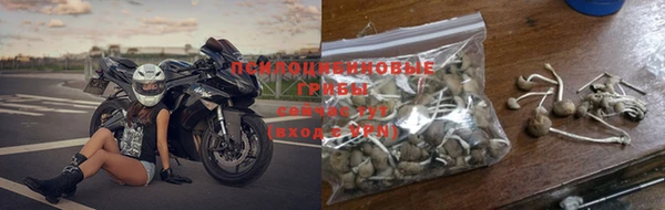 мдпв Дмитриев