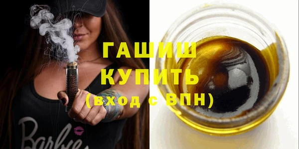 крисы Ельня