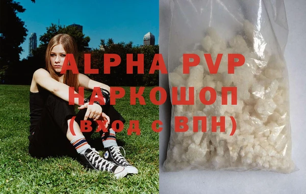 гидра Елизово