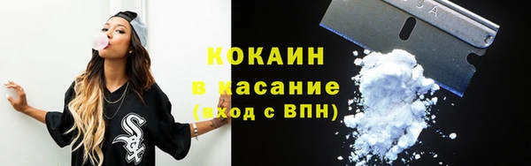 мдпв Дмитриев