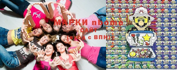 гидра Елизово