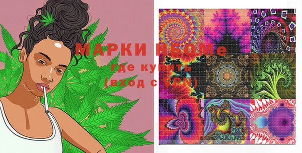 мдпв Дмитриев