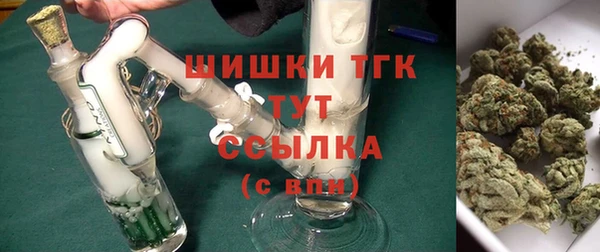 винт Елабуга