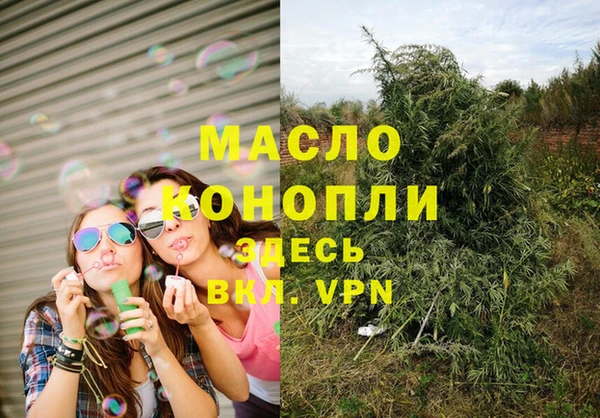 СК Дмитровск