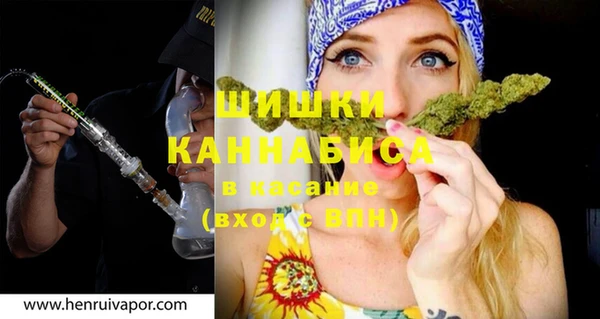 крисы Ельня
