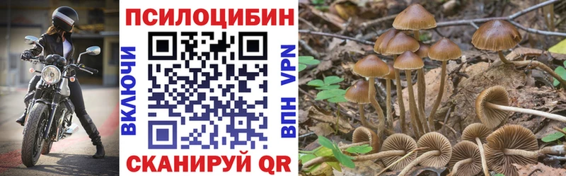 Галлюциногенные грибы Magic Shrooms  Красный Холм 
